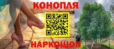 твердый Коммунар