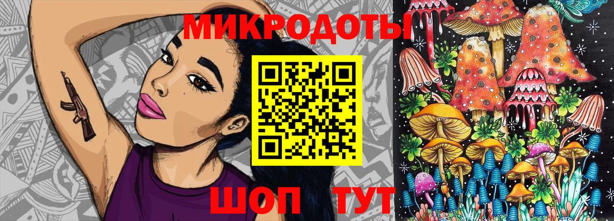 Кандалакша  продажа наркотиков  Вход с VPN  Псилоцибиновые грибы GOLDEN TEACHER  Псилоцибиновые грибы мухоморы 