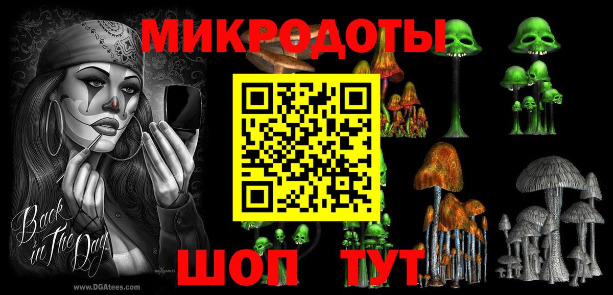 Псилоцибиновые грибы мицелий Кандалакша